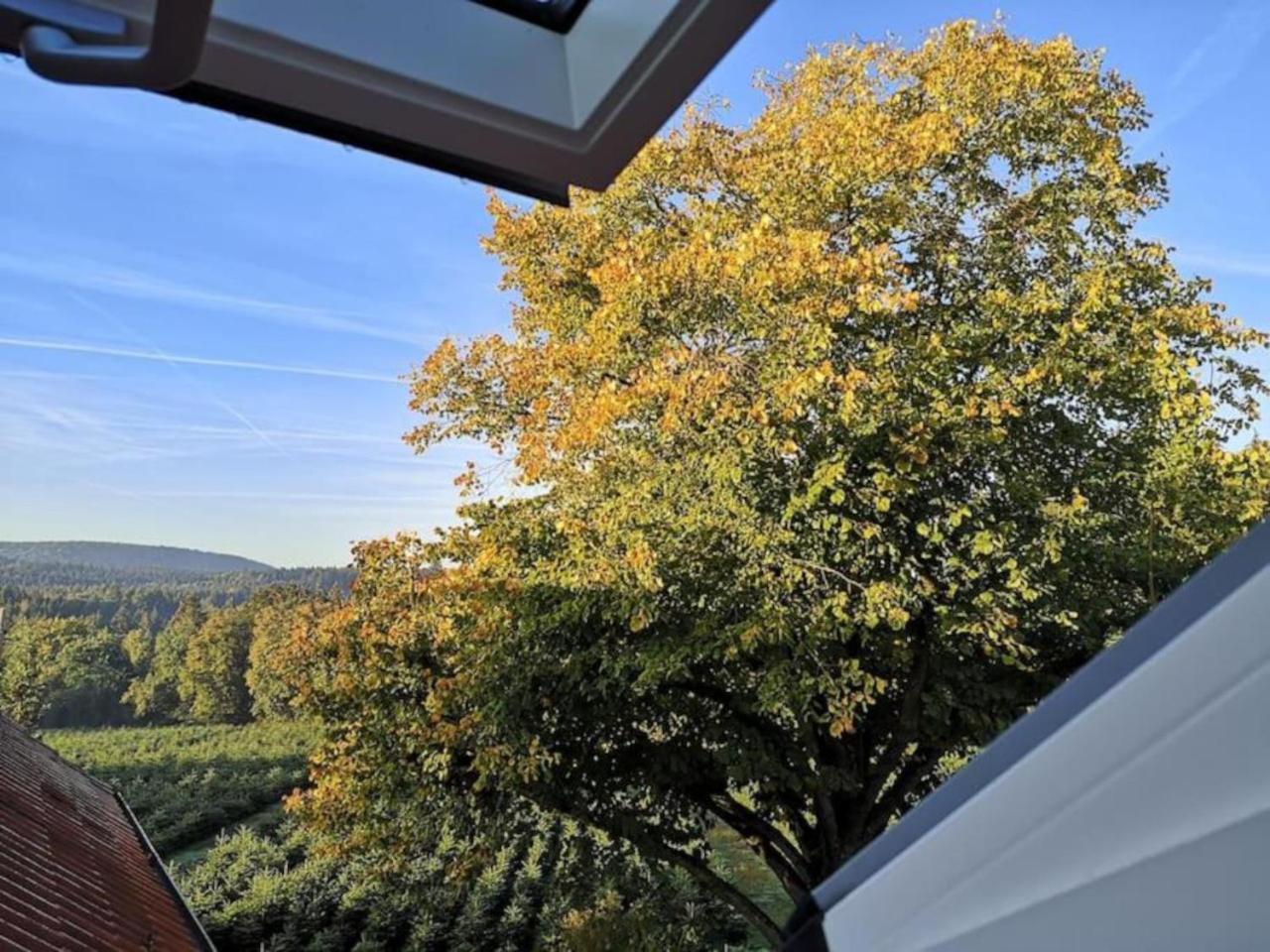 Gruene Oase Im Teutoburger Wald Apartment กีออร์กซมาเรียนฮึทเทอ ภายนอก รูปภาพ