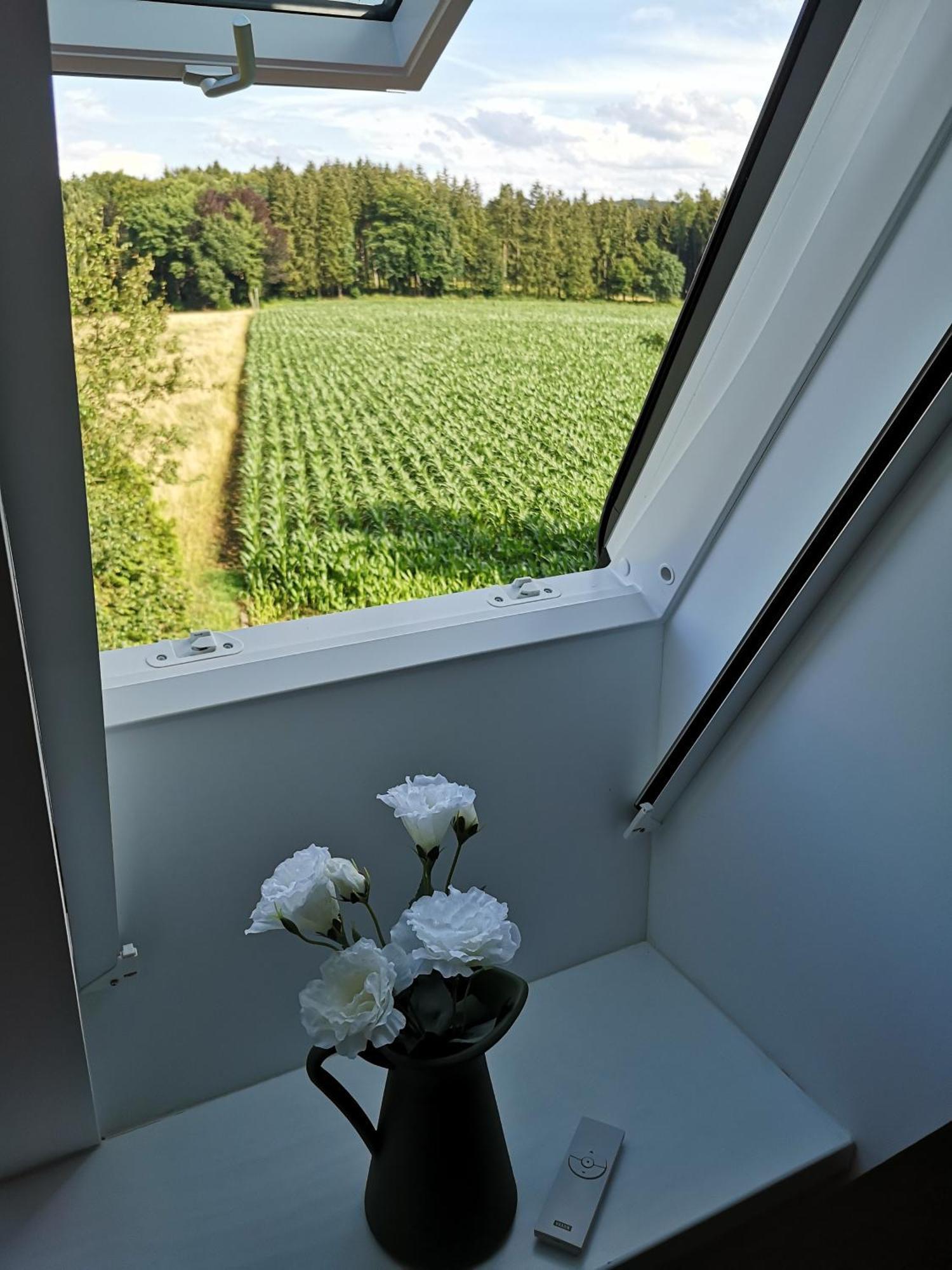 Gruene Oase Im Teutoburger Wald Apartment กีออร์กซมาเรียนฮึทเทอ ภายนอก รูปภาพ