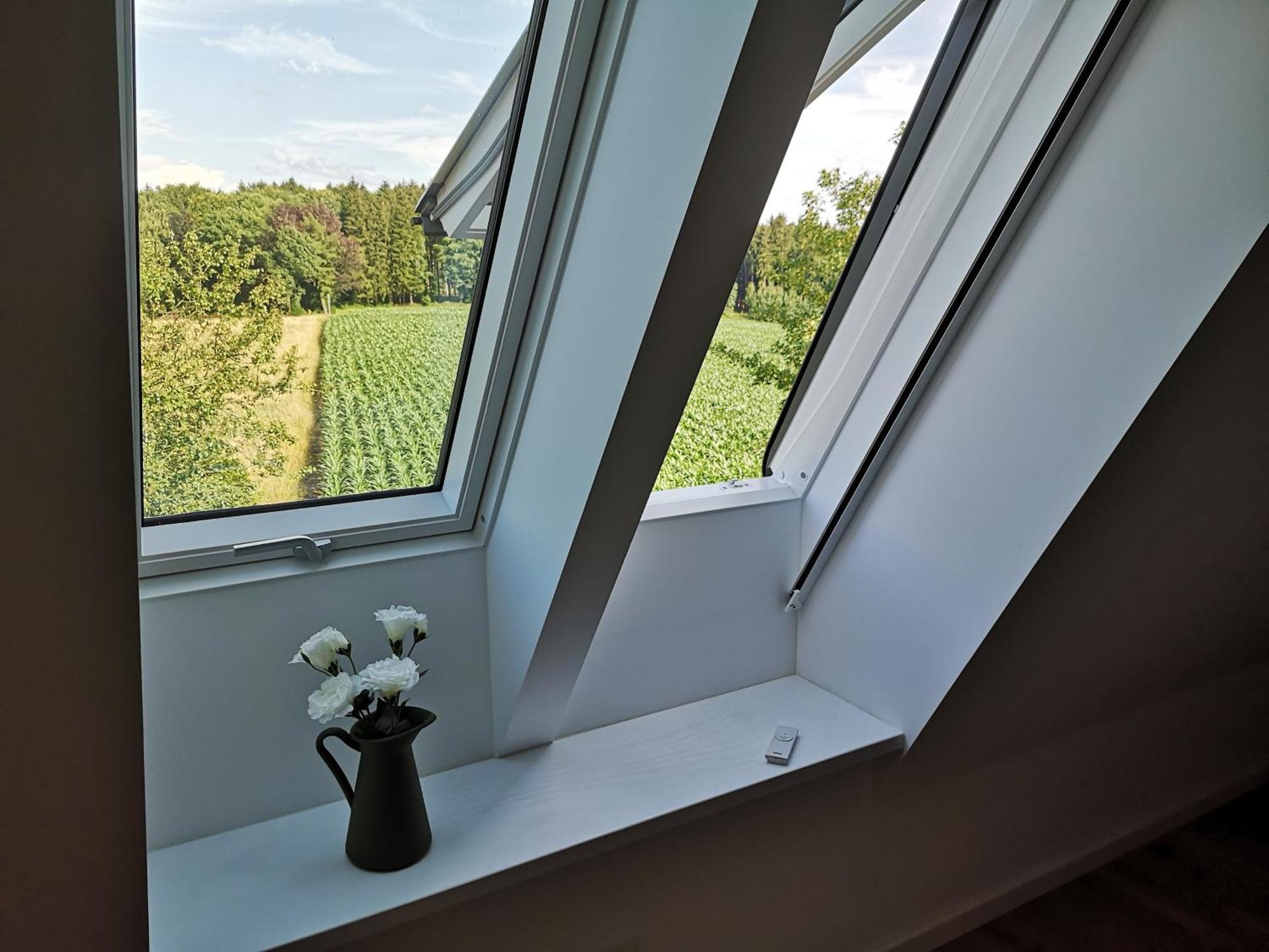 Gruene Oase Im Teutoburger Wald Apartment กีออร์กซมาเรียนฮึทเทอ ภายนอก รูปภาพ
