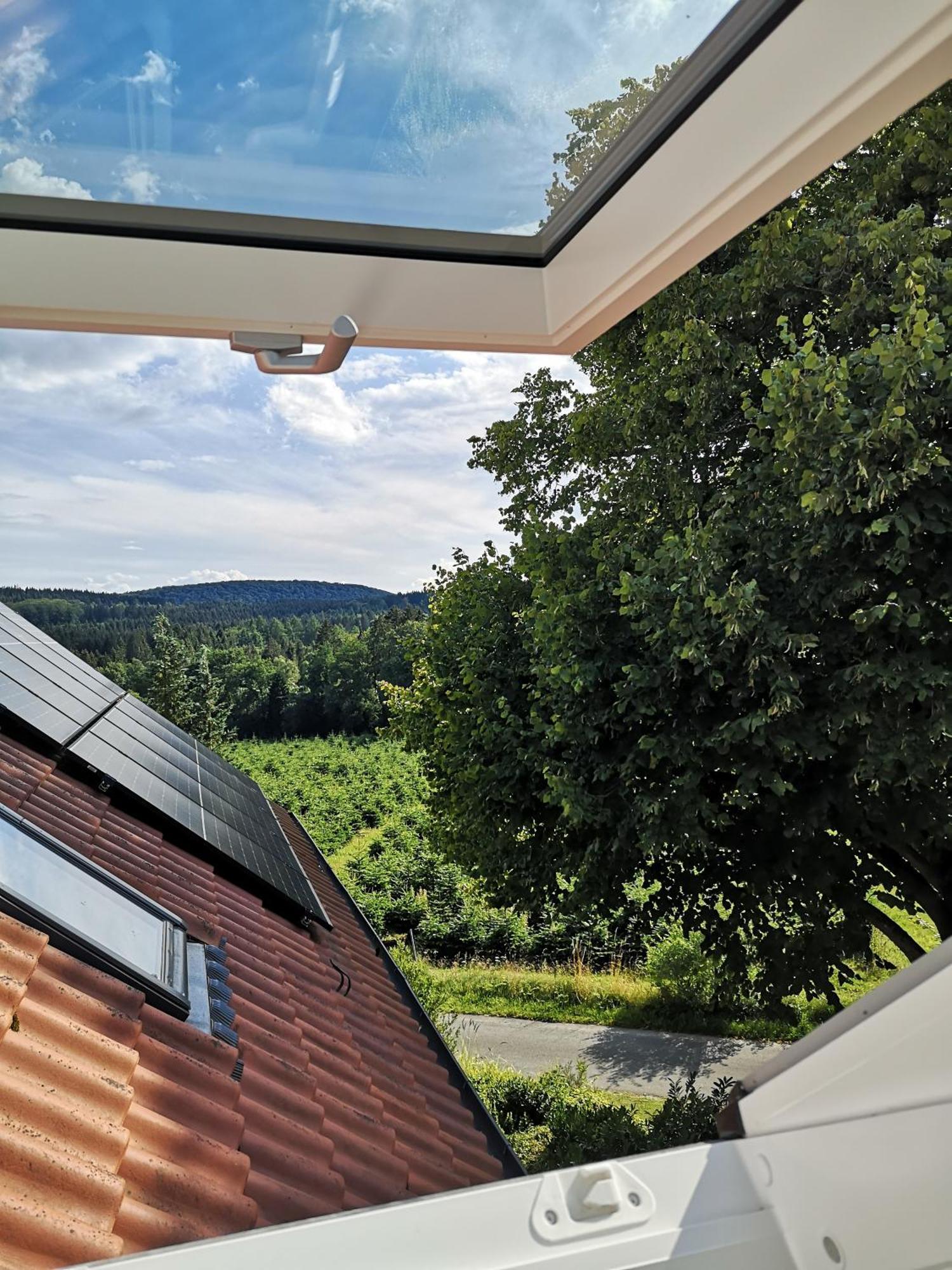 Gruene Oase Im Teutoburger Wald Apartment กีออร์กซมาเรียนฮึทเทอ ภายนอก รูปภาพ